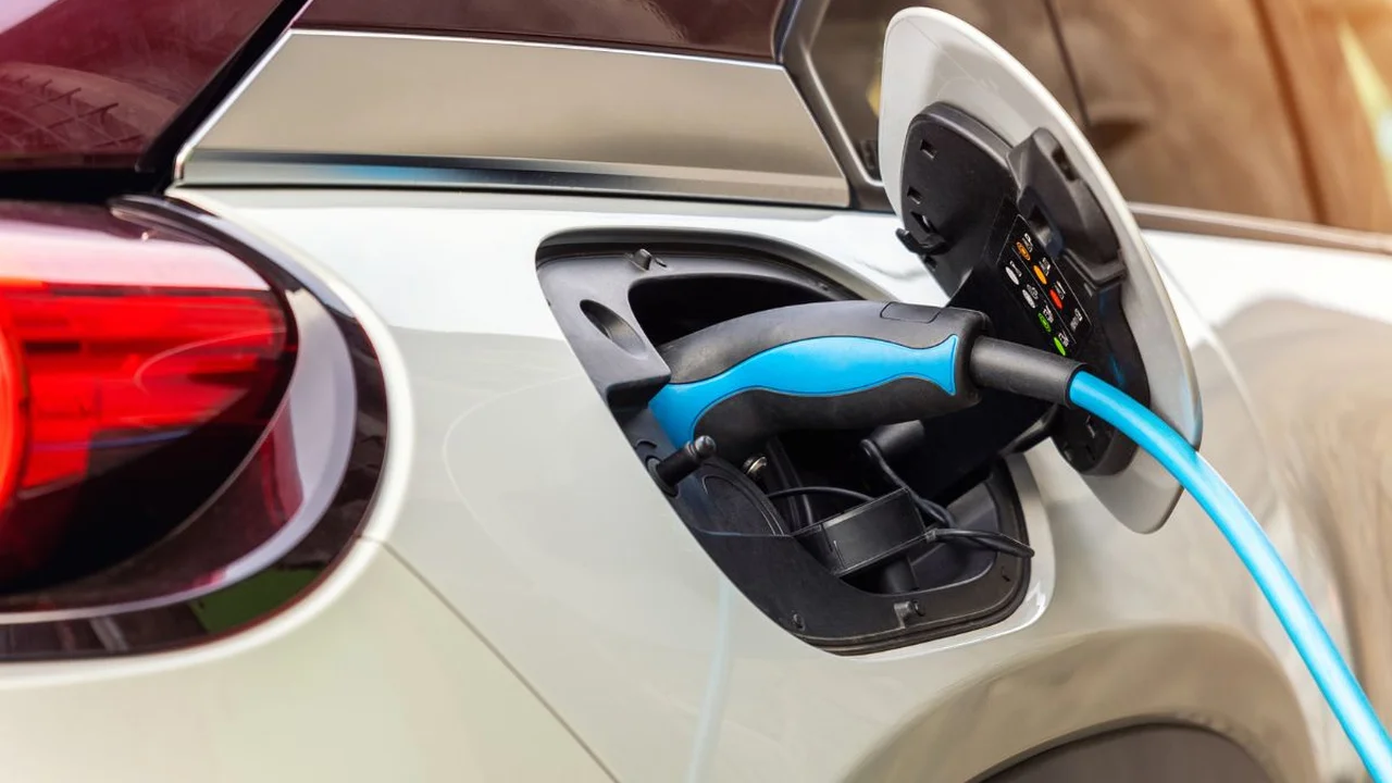 pork chops with cream sauce