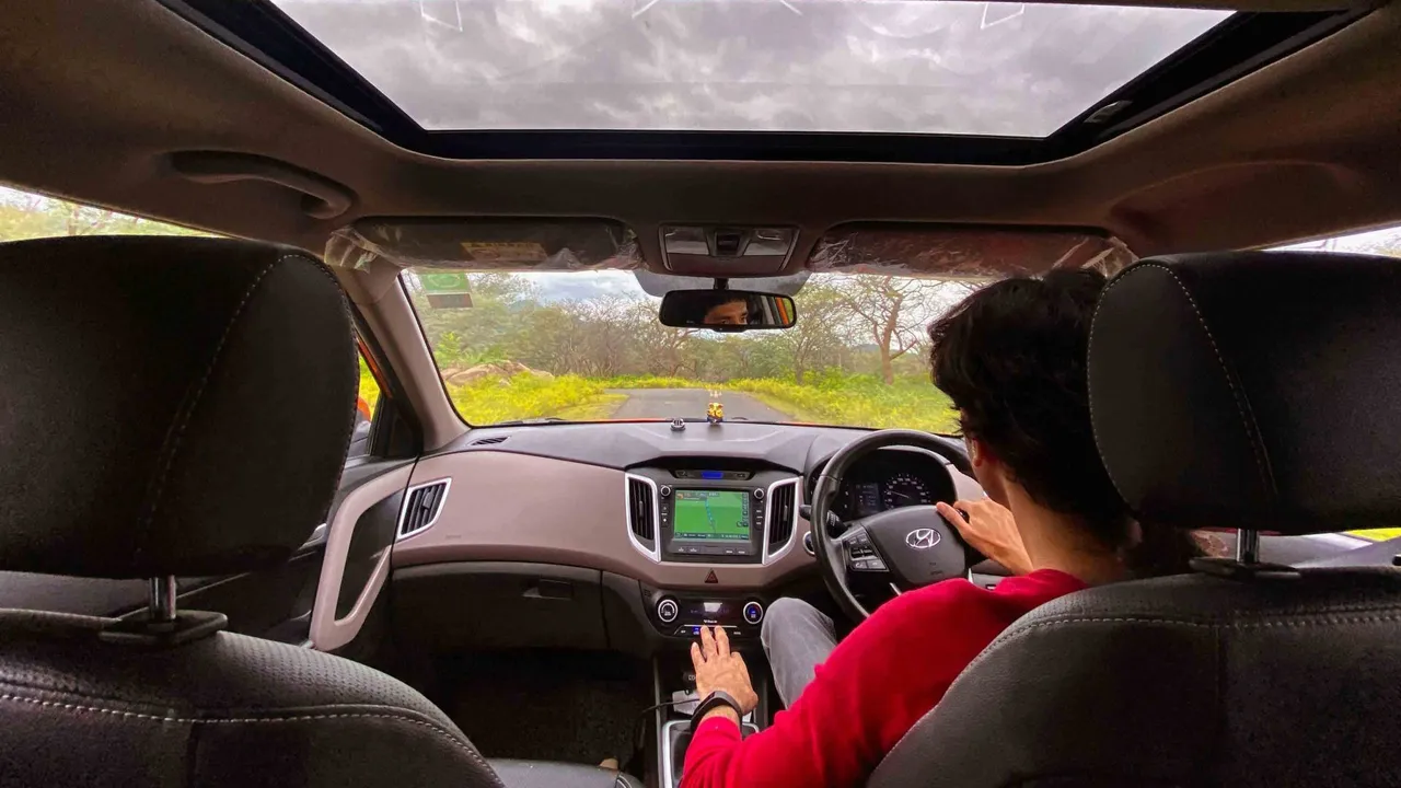 pork chops with cream sauce