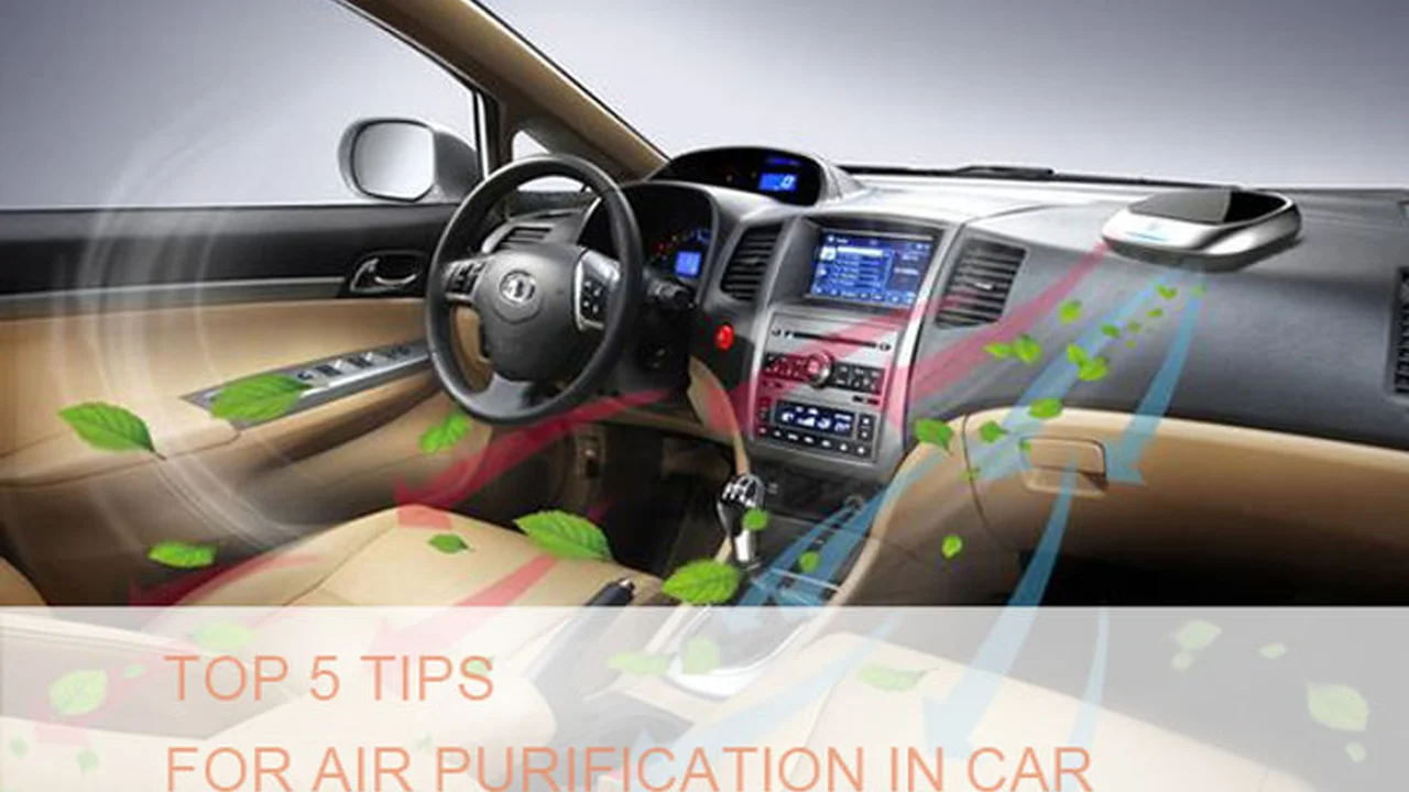 Two mint chocolate milkshakes with whipped cream and green sprinkles.